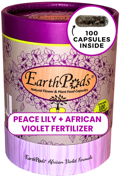 EarthPods organic African Violet food sticks