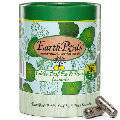 EarthPods Fiddle Leaf Fig & Ficus plant food capsules with packaging on a white background