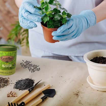 Close up photograph of organic gardening customer pushing an EarthPod organic plant fertilizer in her houseplant