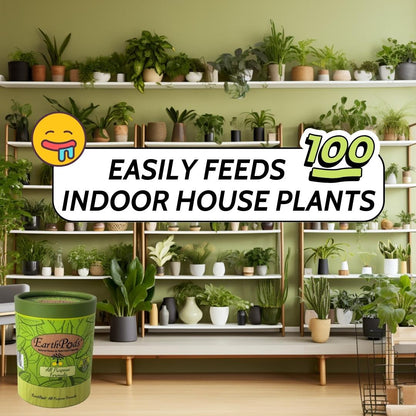 EarthPods indoor plant fertilizer sticks can feed 100 houseplants