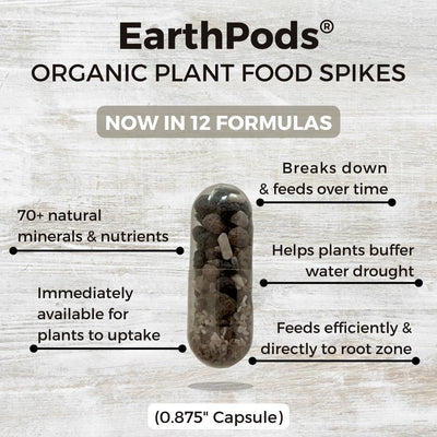 Close-up image of EarthPods organic plant food spike showing natural plant nutrients and best fertilizer for indoor plants with organic plant minerals