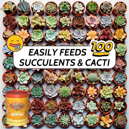 EarthPods succulent plant food fertilizer can feed 100 cacti and succulents