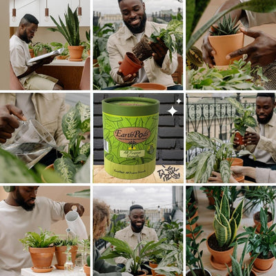 Plant food gardening collage of happy gardener using EarthPods indoor plant food sticks on his houseplants outside on his apartment balcony urban garden