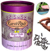 EarthPods® Organic African Violet & Blooming Indoor Houseplant Food Flower Fertilizer