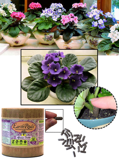 EarthPods® Indoor Organic African Violet Flower Fertilizer